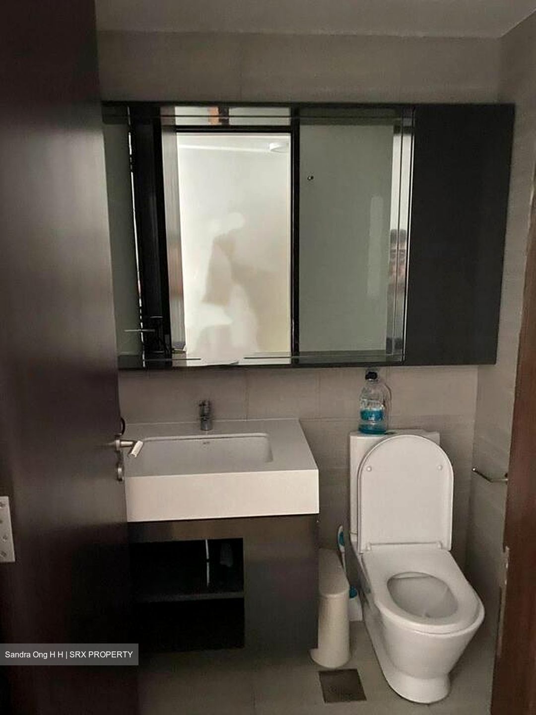 Botanique At Bartley (D19), Condominium #504336241